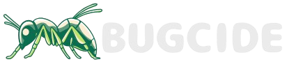 Free__1_-removebg-preview